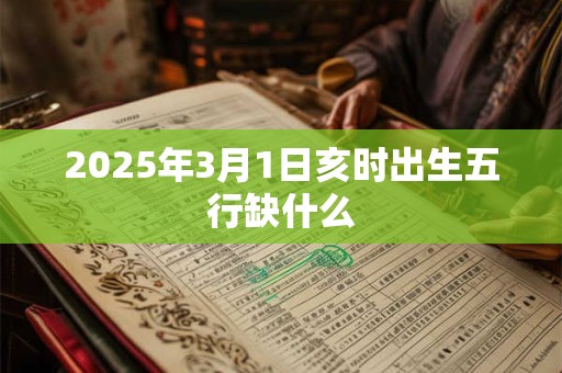 2025年3月1日亥时出生五行缺什么
