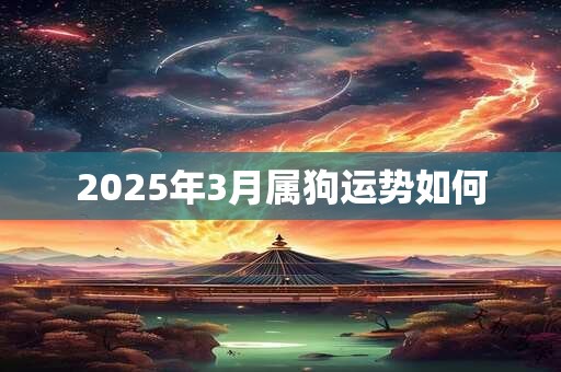 2025年3月属狗运势如何