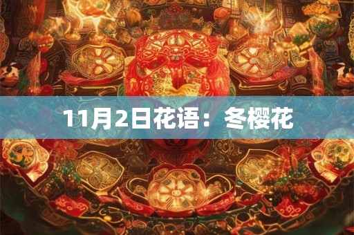 11月2日花语：冬樱花