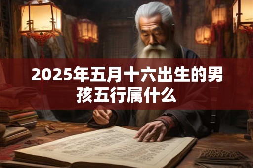 2025年五月十六出生的男孩五行属什么