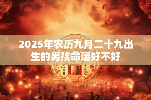 2025年农历九月二十九出生的男孩命运好不好
