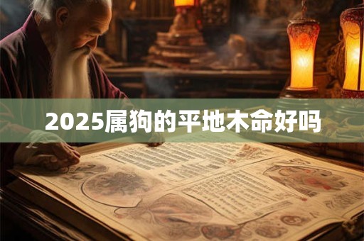 2025属狗的平地木命好吗