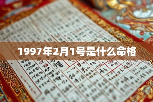 1997年2月1号是什么命格