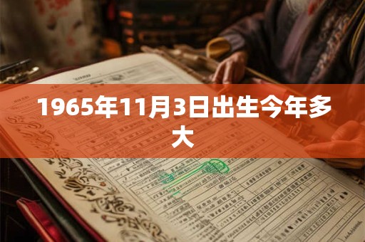 1965年11月3日出生今年多大