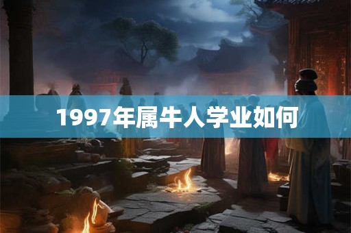 1997年属牛人学业如何