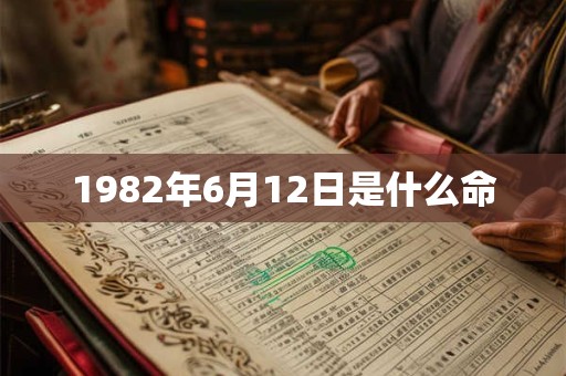 1982年6月12日是什么命