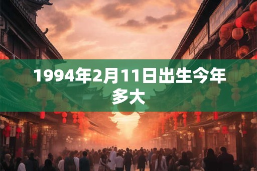 1994年2月11日出生今年多大