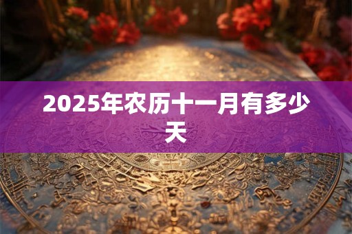 2025年农历十一月有多少天 2025年农历十一月有多少天
