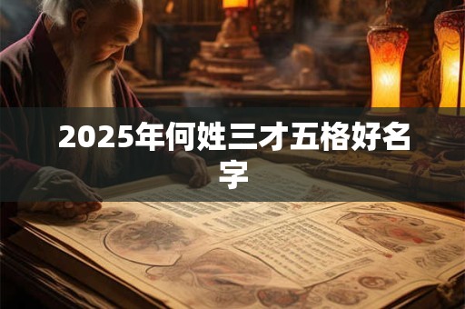 2025年何姓三才五格好名字