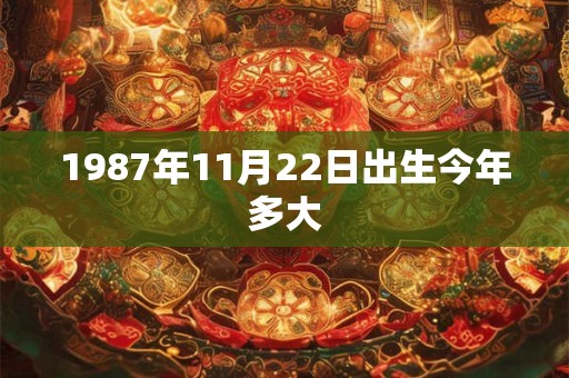 1987年11月22日出生今年多大