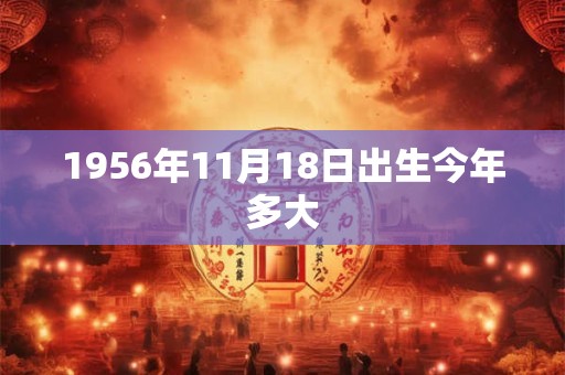 1956年11月18日出生今年多大
