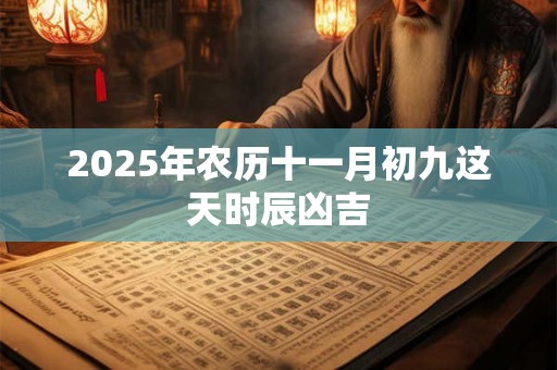 2025年农历十一月初九这天时辰凶吉