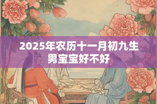 2025年农历十一月初九生男宝宝好不好