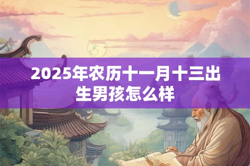 2025年农历十一月十三出生男孩怎么样
