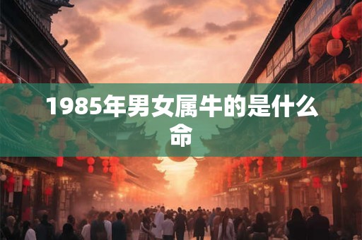 1985年男女属牛的是什么命