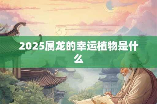 2025属龙的幸运植物是什么