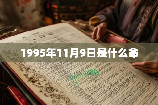 1995年11月9日是什么命