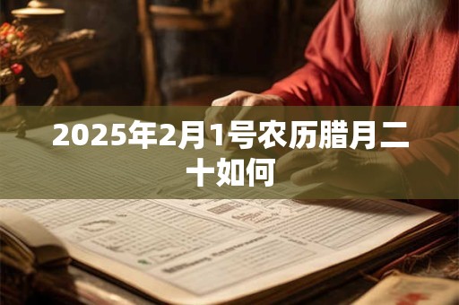 2025年2月1号农历腊月二十如何