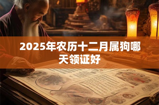 2025年农历十二月属狗哪天领证好