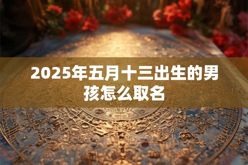 2025年五月十三出生的男孩怎么取名