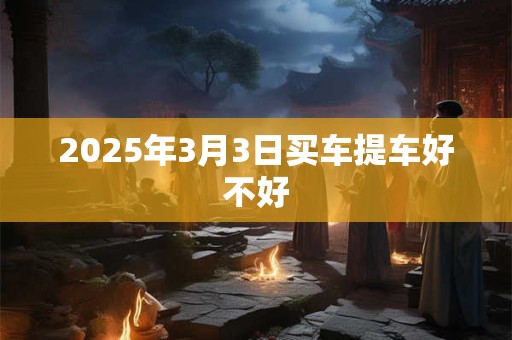 2025年3月3日买车提车好不好