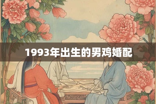 1993年出生的男鸡婚配