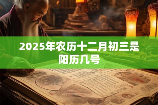 2025年农历十二月初三是阳历几号