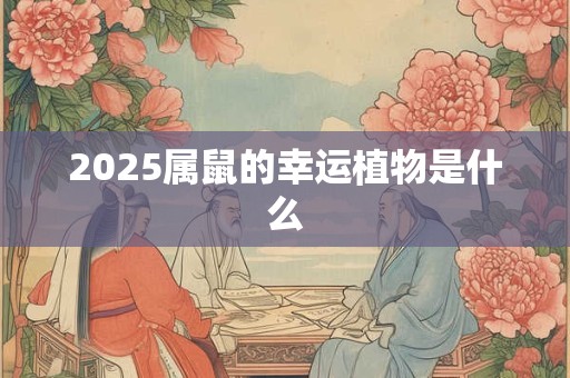 2025属鼠的幸运植物是什么