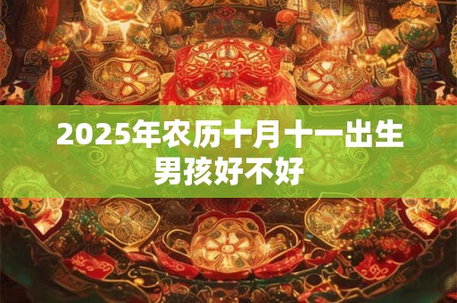 2025年农历十月十一出生男孩好不好
