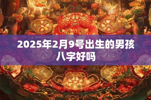 2025年2月9号出生的男孩八字好吗