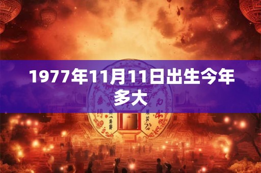 1977年11月11日出生今年多大