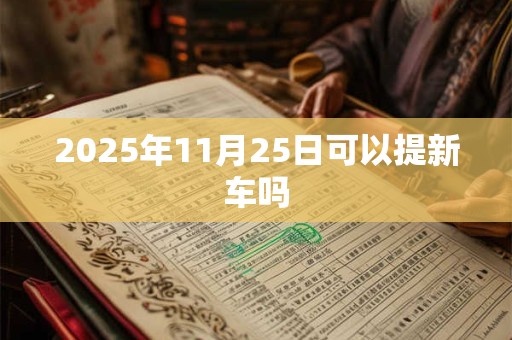 2025年11月25日可以提新车吗