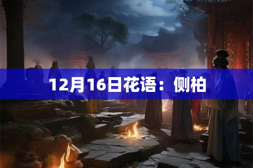 12月16日花语：侧柏