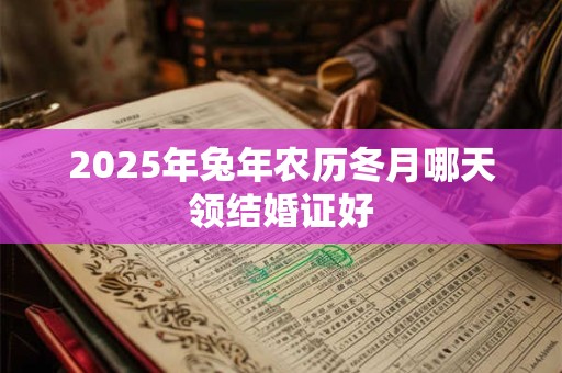 2025年兔年农历冬月哪天领结婚证好