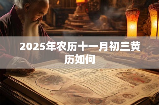 2025年农历十一月初三黄历如何