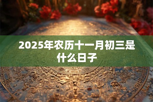 2025年农历十一月初三是什么日子 2025年农历十一月初三是什么日子