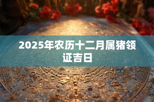 2025年农历十二月属猪领证吉日