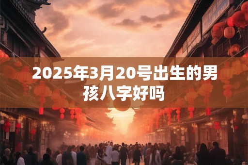 2025年3月20号出生的男孩八字好吗