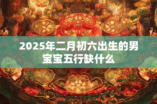 2025年二月初六出生的男宝宝五行缺什么