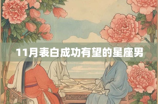 11月表白成功有望的星座男