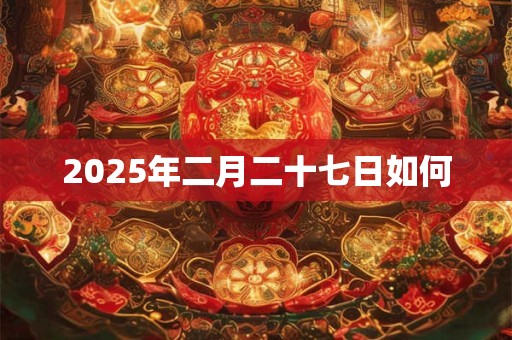 2025年二月二十七日如何