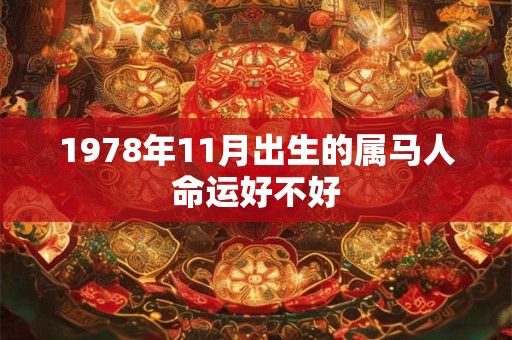 1978年11月出生的属马人命运好不好