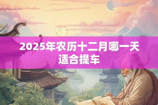 2025年农历十二月哪一天适合提车