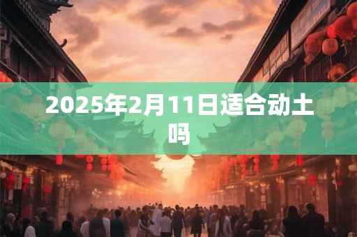 2025年2月11日适合动土吗