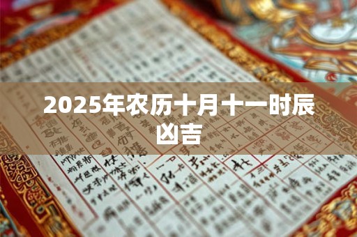 2025年农历十月十一时辰凶吉
