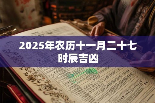 2025年农历十一月二十七时辰吉凶