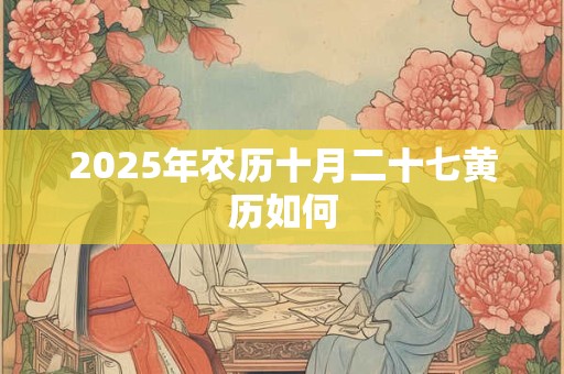 2025年农历十月二十七黄历如何