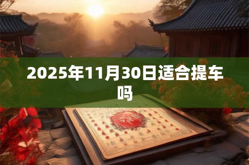 2026年11月30日适合提车吗 2026年11月30日适合提车吗