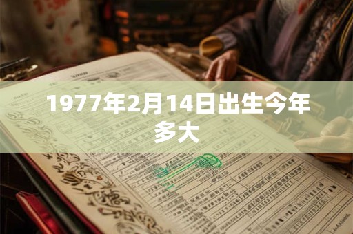 1977年2月14日出生今年多大 1977年2月14日出生今年多大