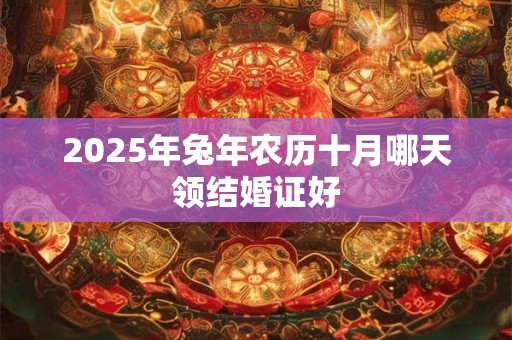 2025年兔年农历十月哪天领结婚证好